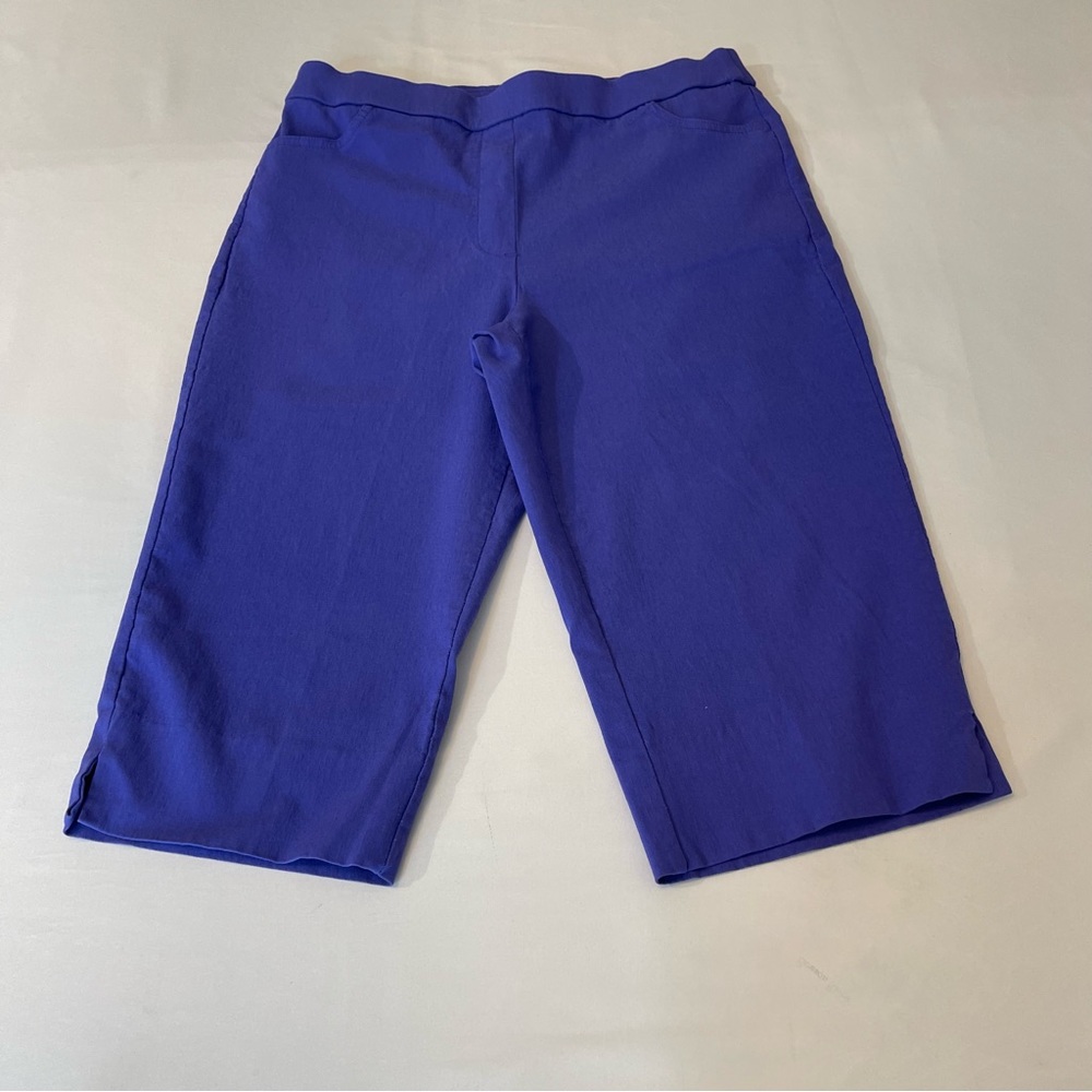 ALFRED DUNNER SHORTS WOMENS SIZE 10 P, PURPLE , VERY GOOD CONDITION, PRE…